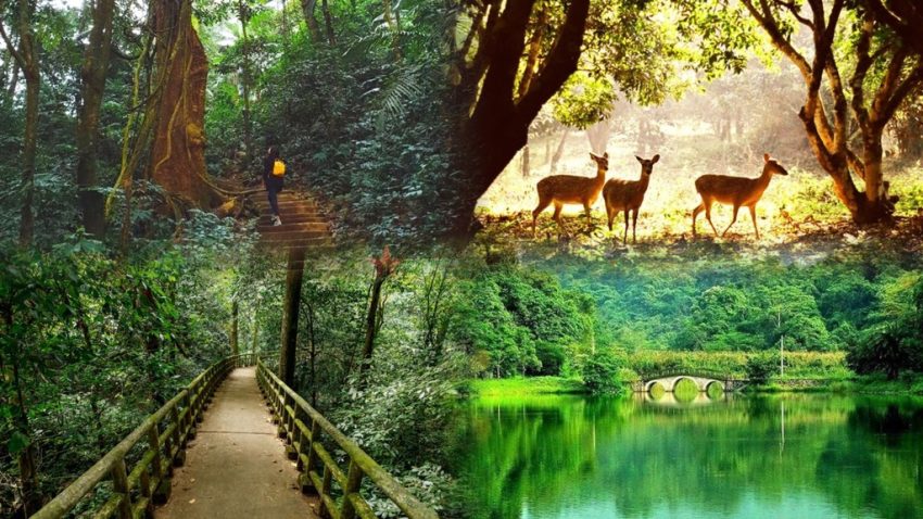 Cuc Phuong National Park 1-Day Tour Itinerary